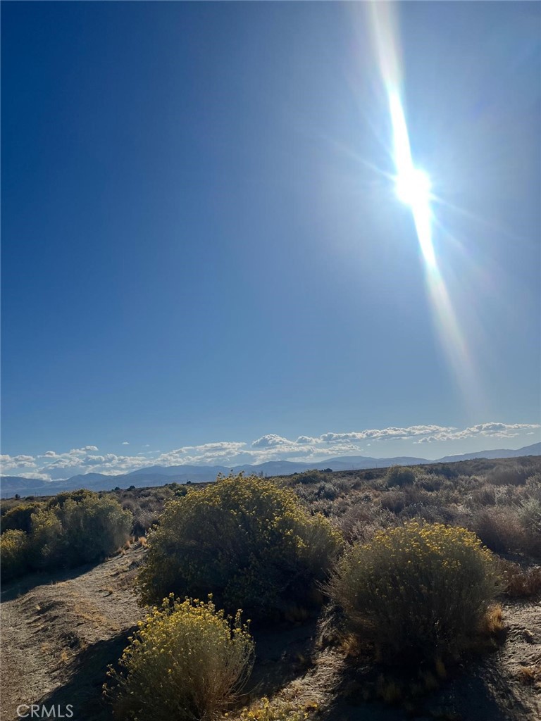 MLS #SR26057904 image #8