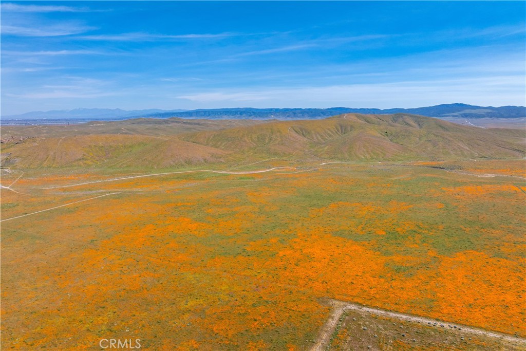 MLS #SR26058604 image #42