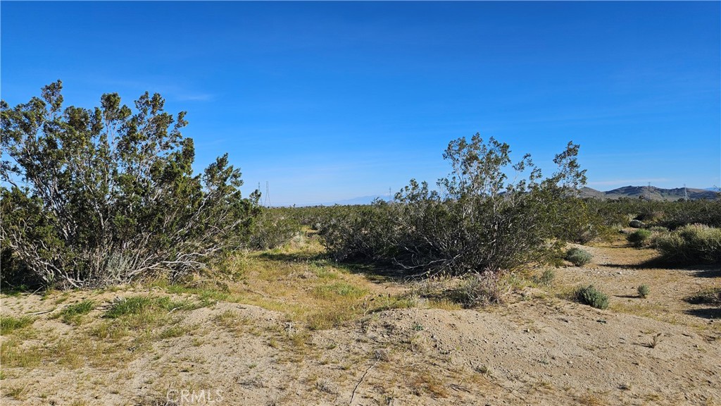 MLS #SR26061556 image #4