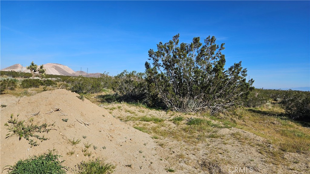 MLS #SR26061556 image #6