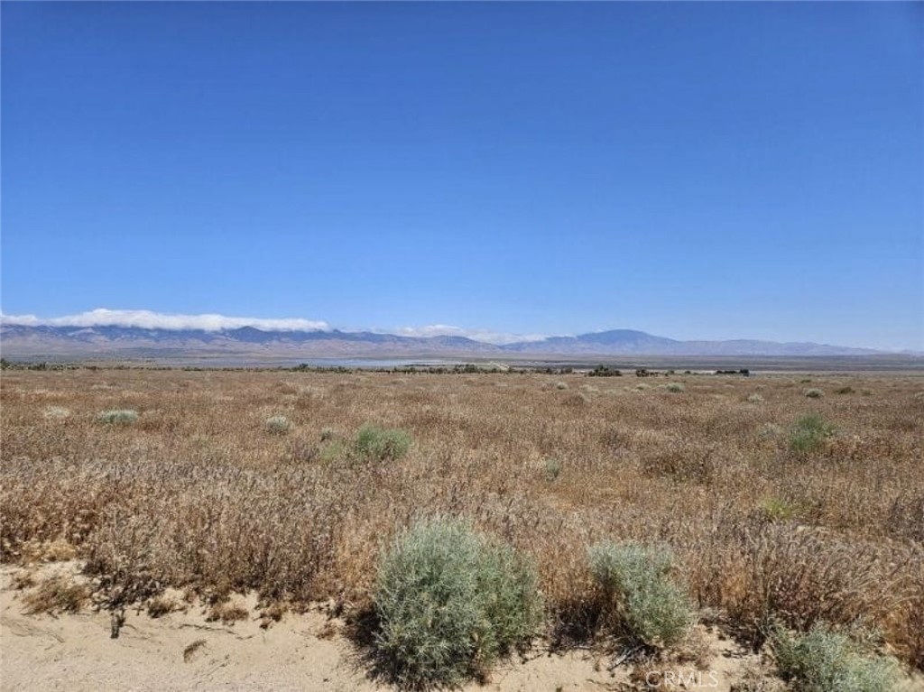 MLS #SR26065545 image #4