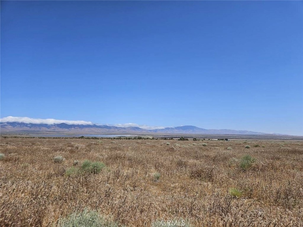 MLS #SR26065545 image #5