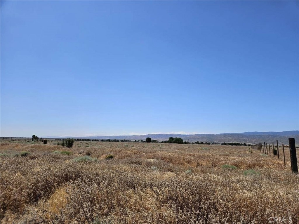 MLS #SR26065545 image #6