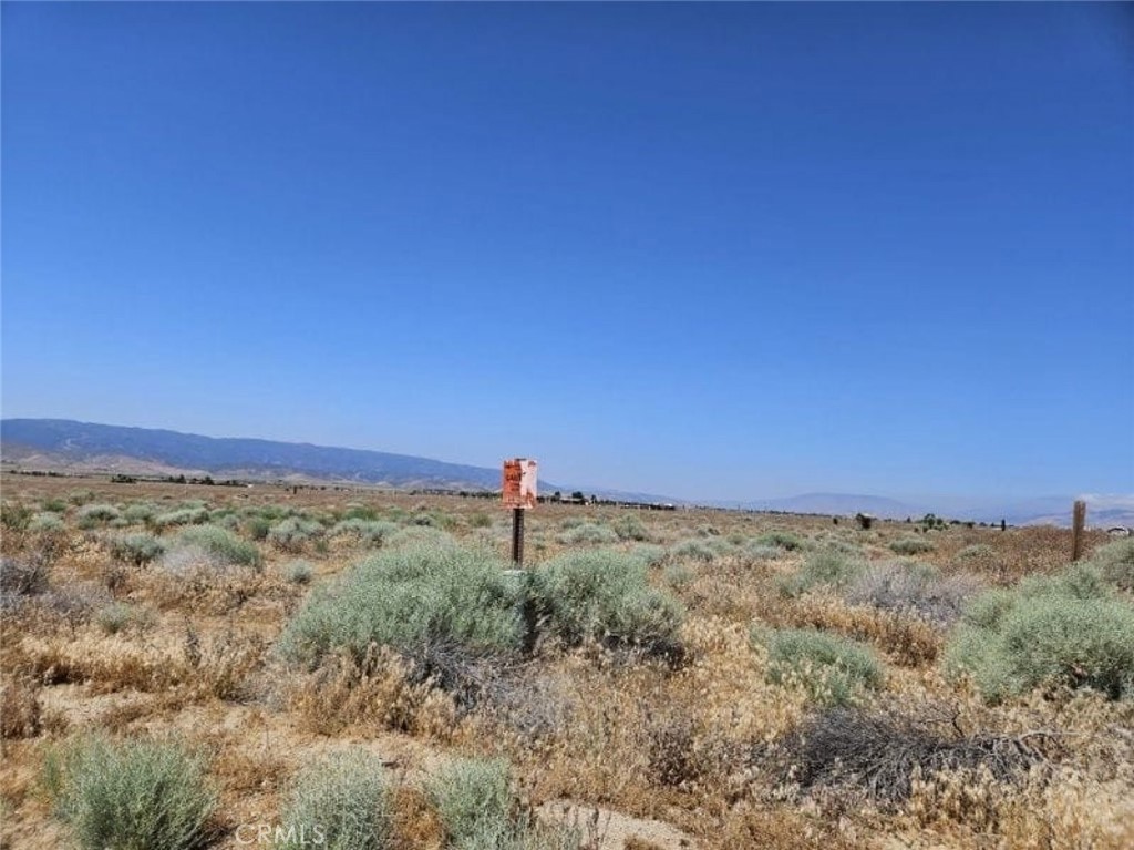 MLS #SR26065545 image #7