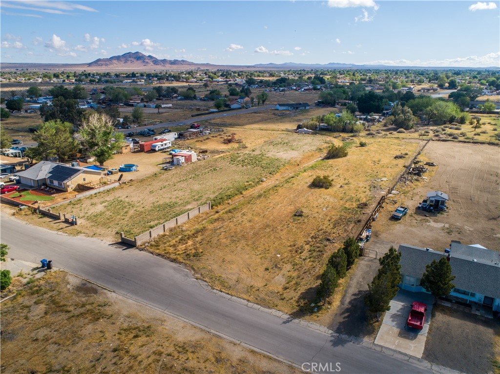 MLS #SR26068584 image #6