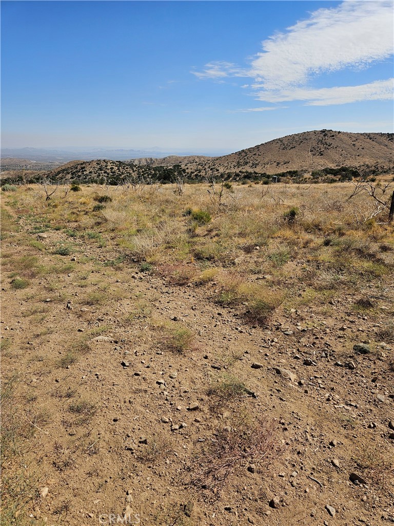 MLS #SR26070929 image #4