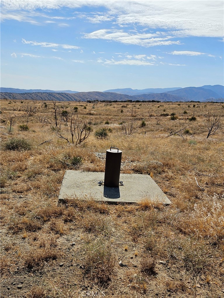 MLS #SR26070929 image #5