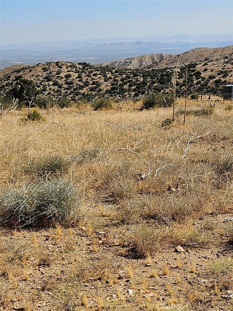 MLS #SR26070929 image #6