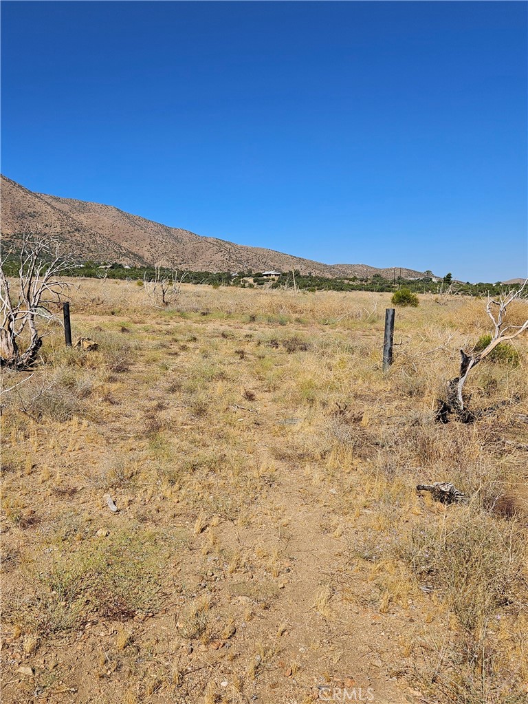 MLS #SR26070929 image #7