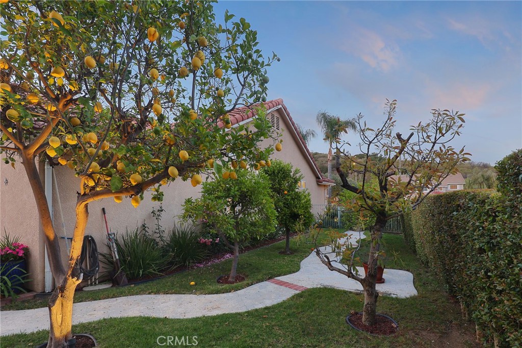 MLS #SR26074321 image #31