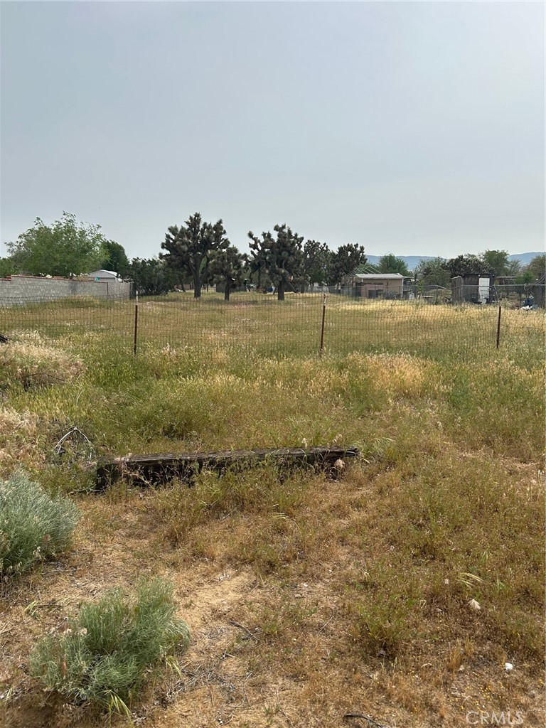 MLS #SR26074579 image #1