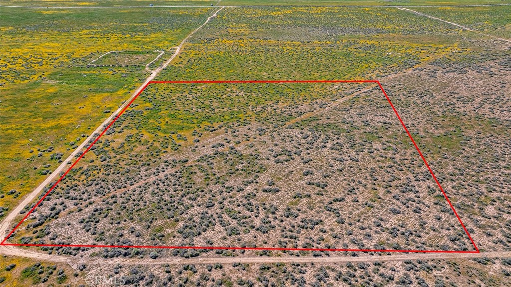 MLS #SW26042889 image #1