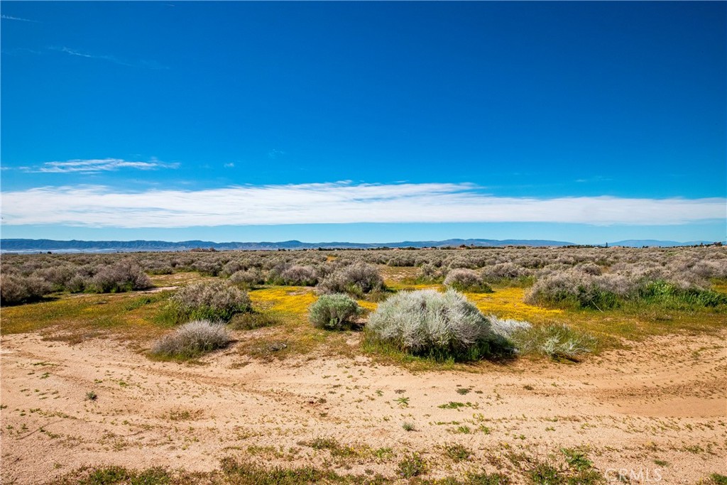 MLS #SW26042889 image #10