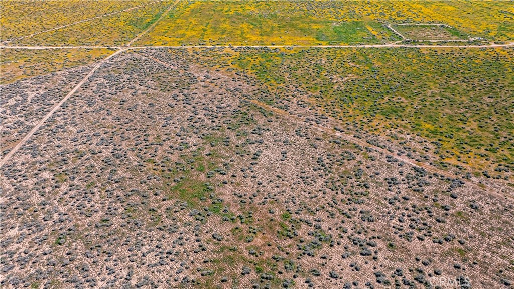 MLS #SW26042889 image #11