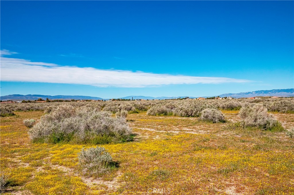 MLS #SW26042889 image #2