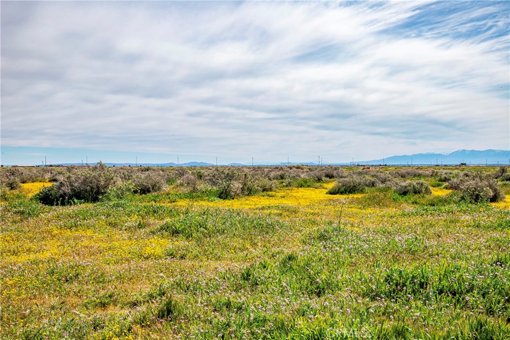 MLS #SW26042889 image #3