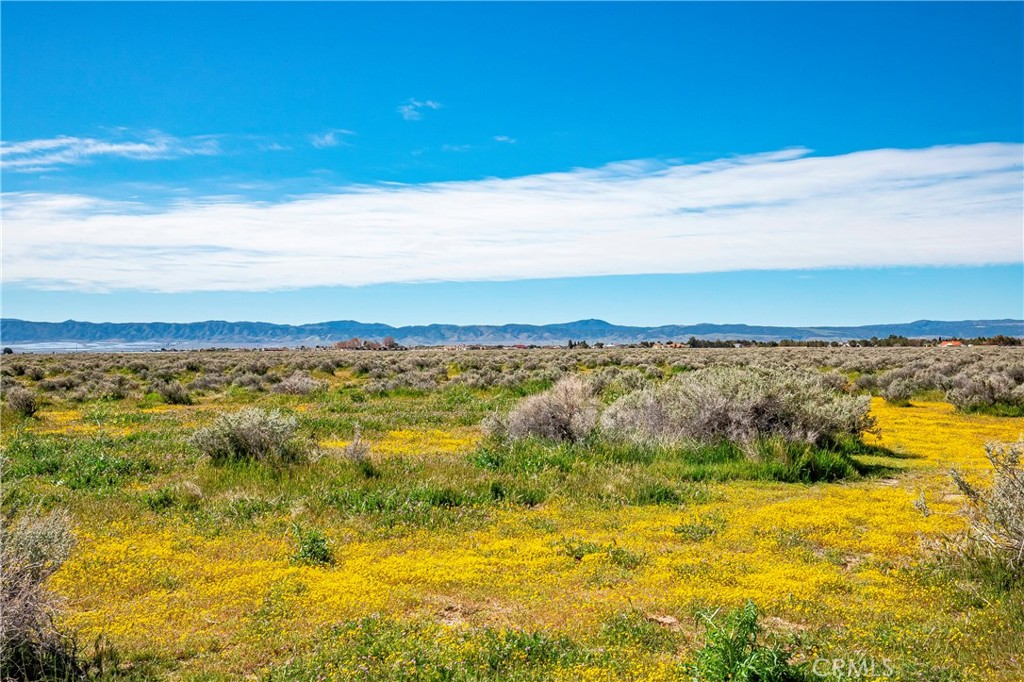 MLS #SW26042889 image #4