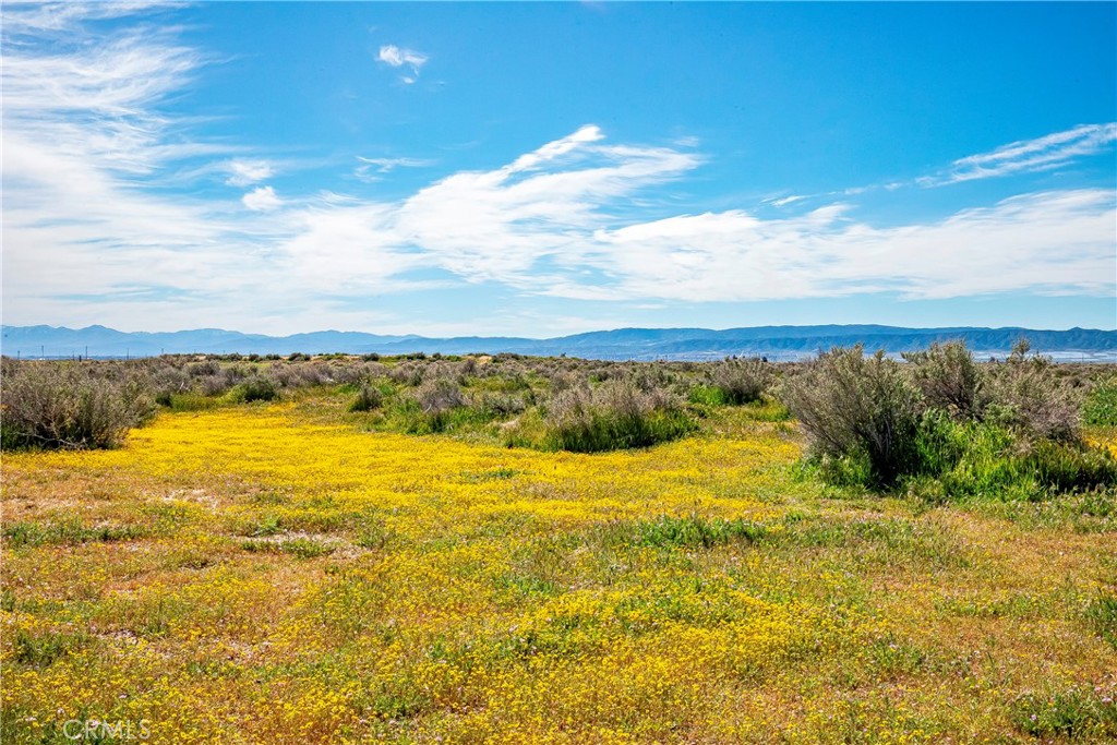 MLS #SW26042889 image #5