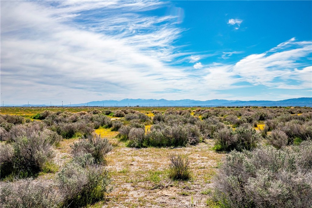 MLS #SW26042889 image #6