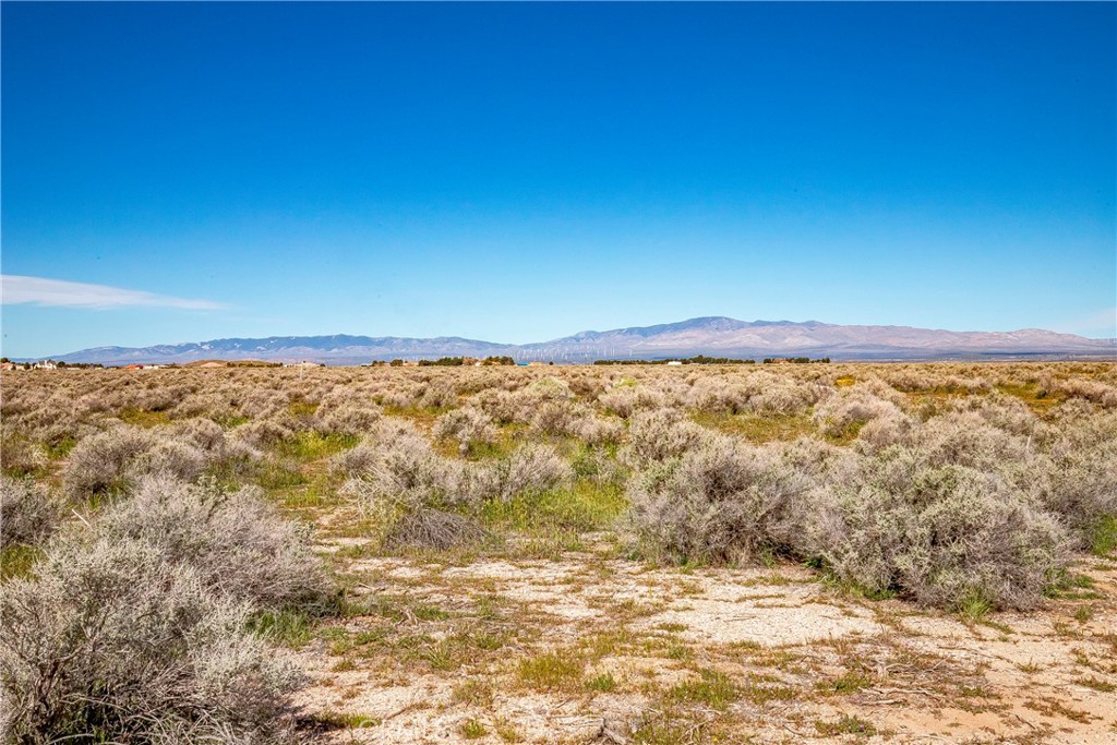 MLS #SW26042889 image #7