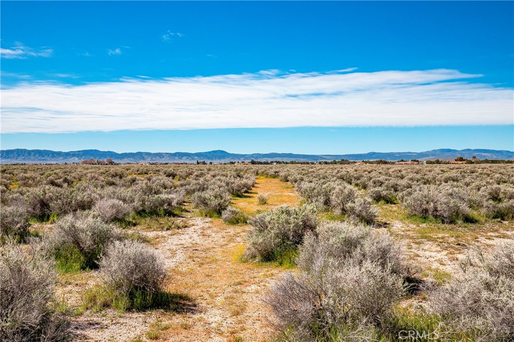 MLS #SW26042889 image #8