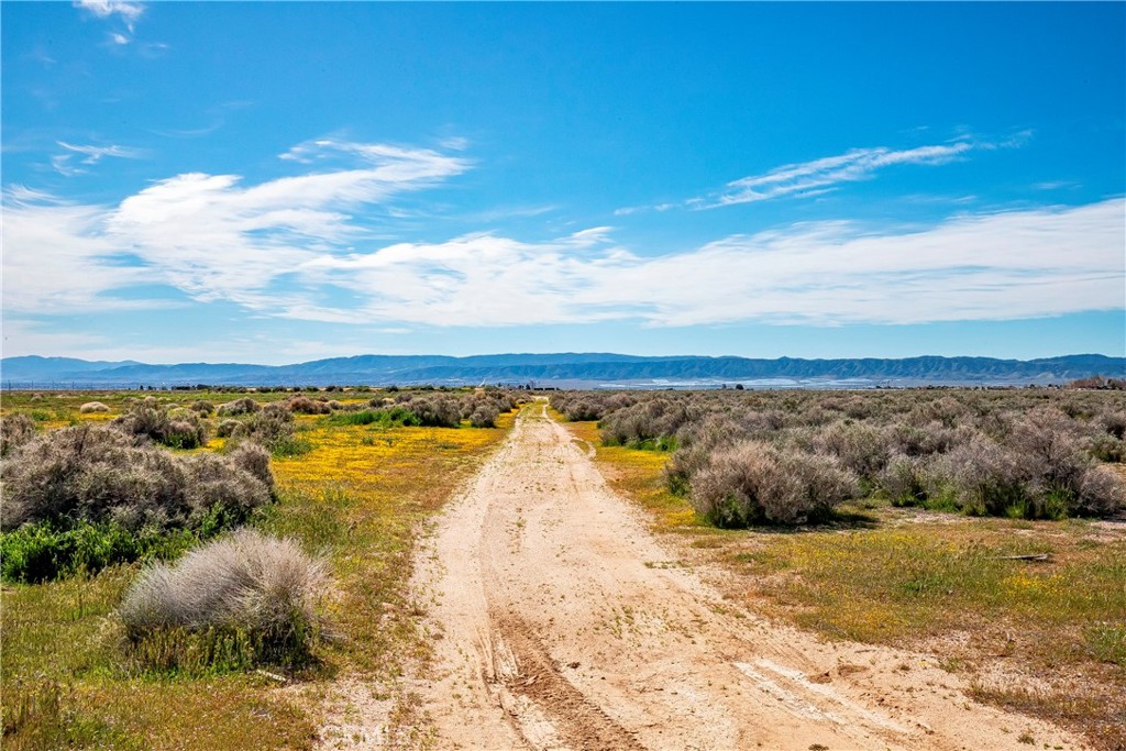 MLS #SW26042889 image #9