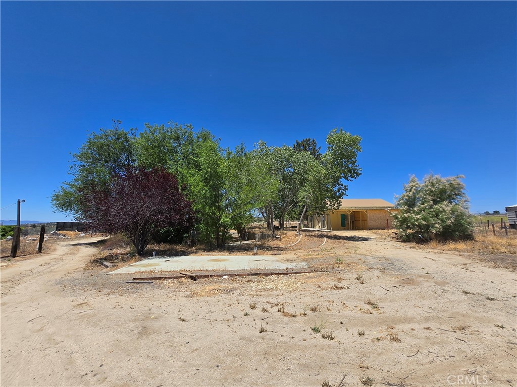 MLS #SW26053469 image #14