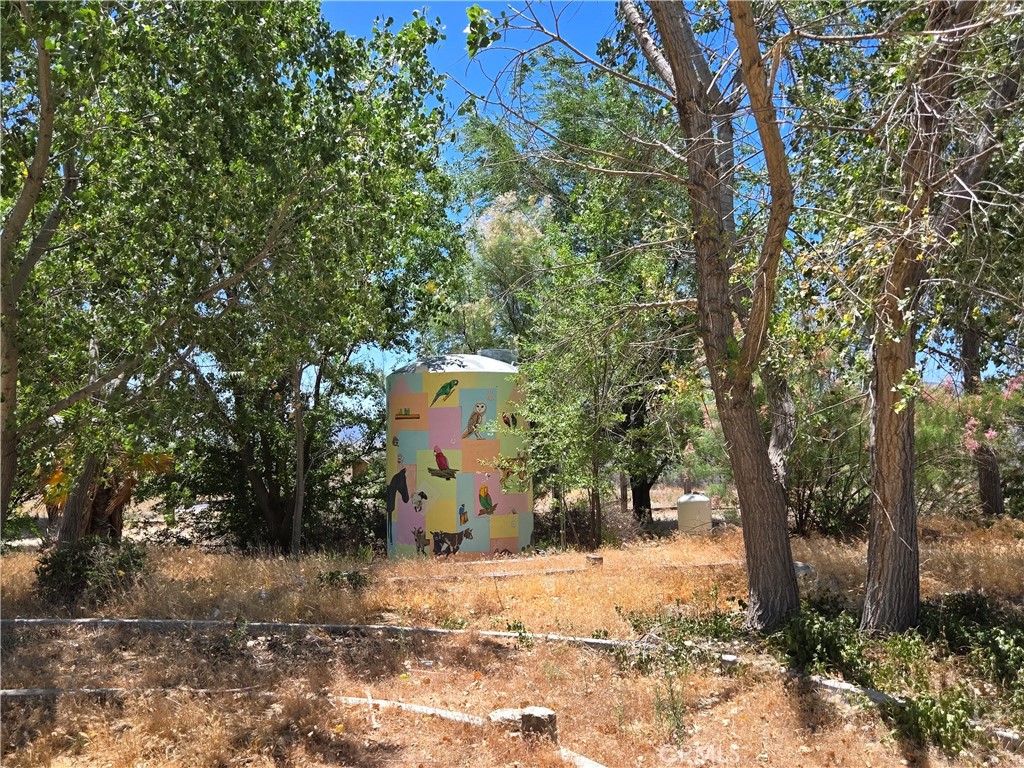 MLS #SW26053469 image #15