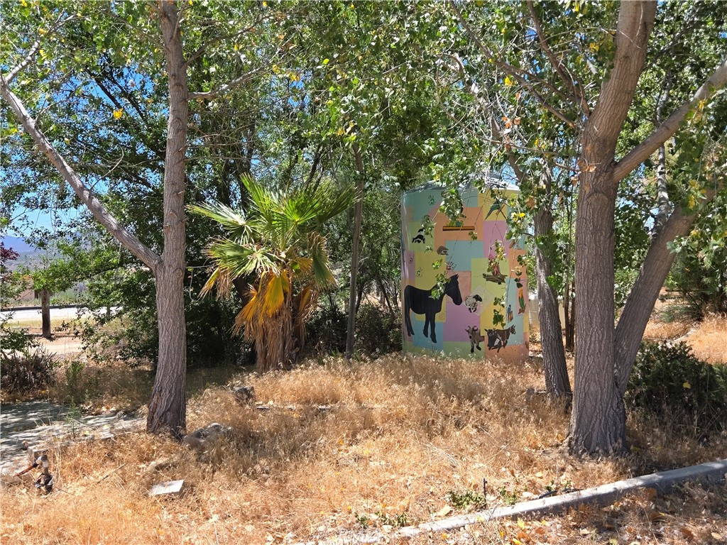 MLS #SW26053469 image #16