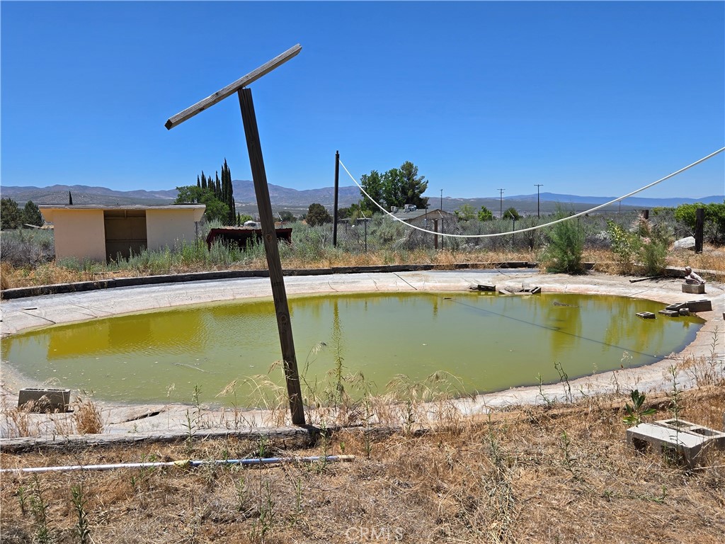 MLS #SW26053469 image #17