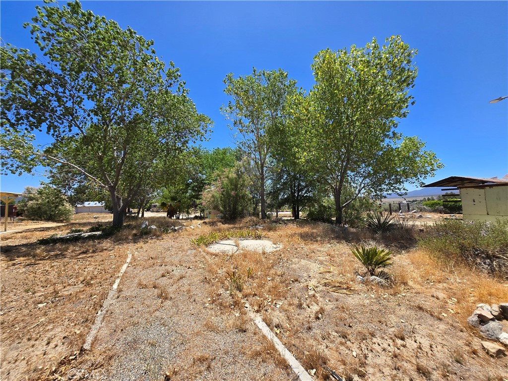 MLS #SW26053469 image #3