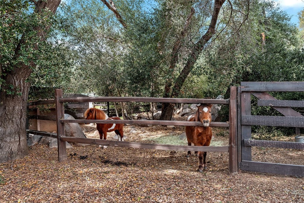 MLS #ML81979121 image #61