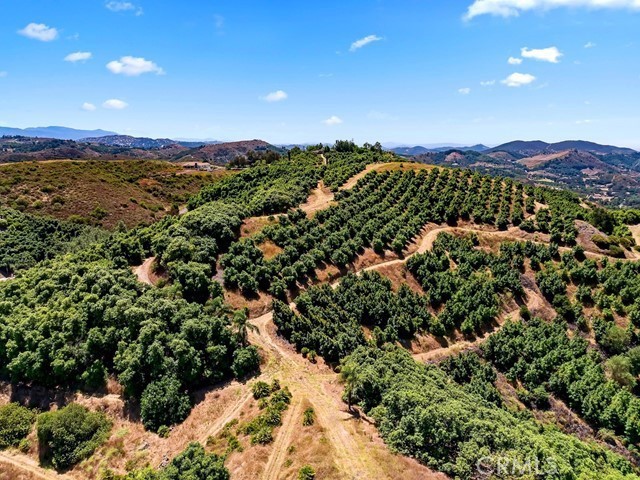 MLS #SW26057213 image #47