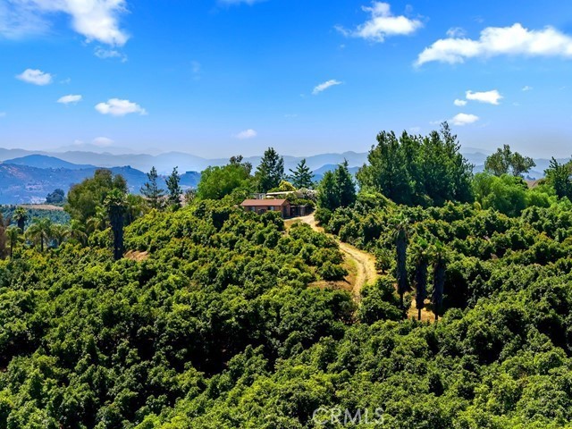 MLS #SW26057213 image #48