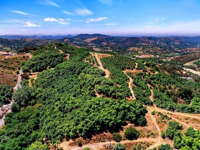 MLS #SW26057213 image #49