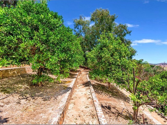 MLS #SW26057213 image #58