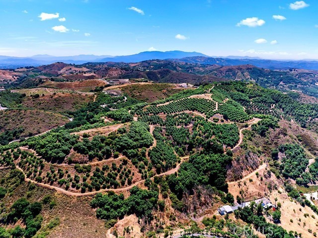 MLS #SW26057213 image #59