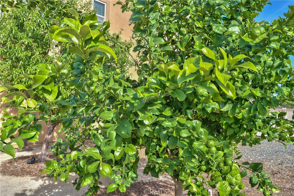 MLS #SW26058297 image #46