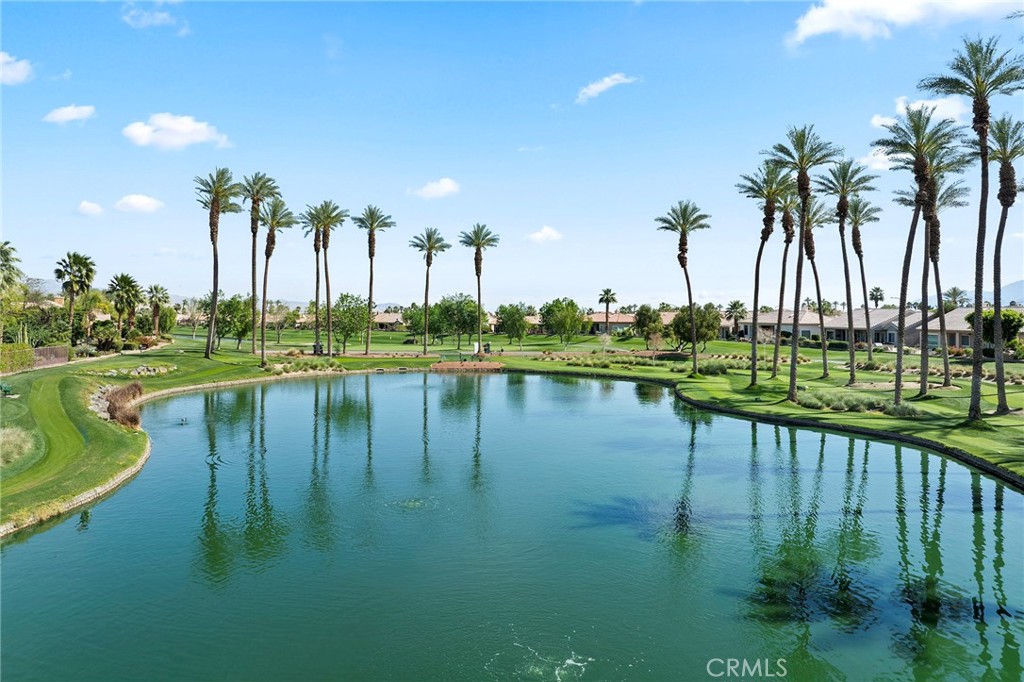 MLS #SW26060306 image #49