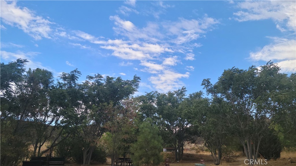 MLS #TR26071963 image #17