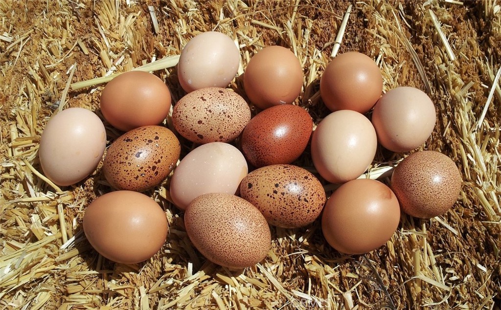 MLS #TR26071963 image #20