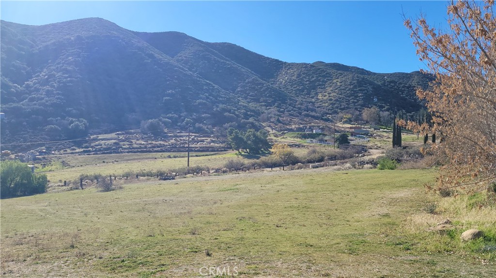 MLS #TR26071963 image #7