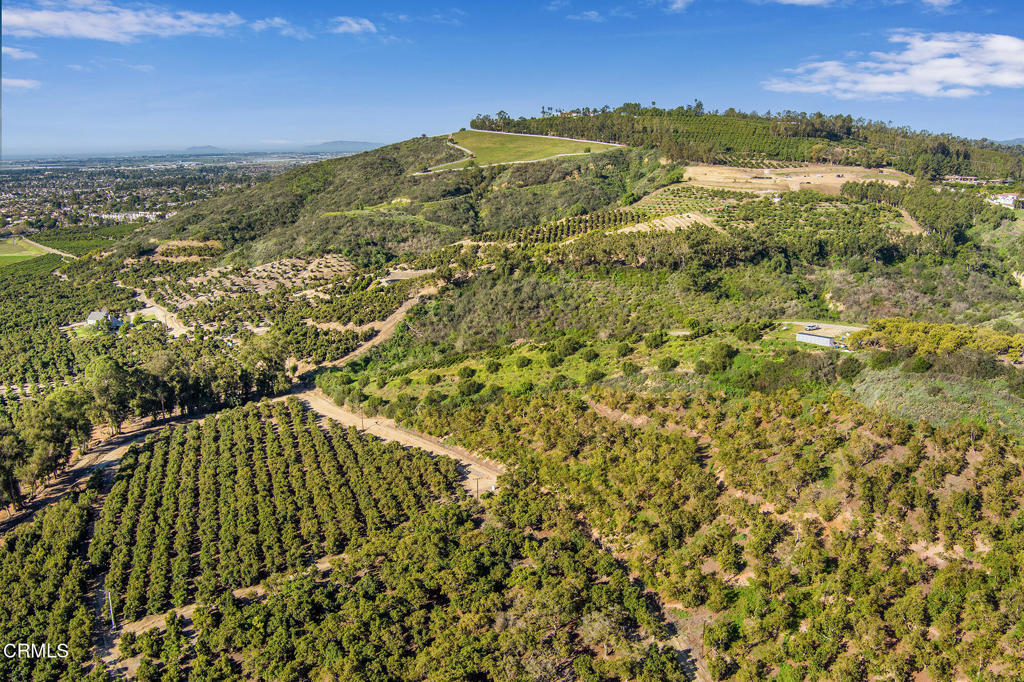 MLS #V1-35211 image #10