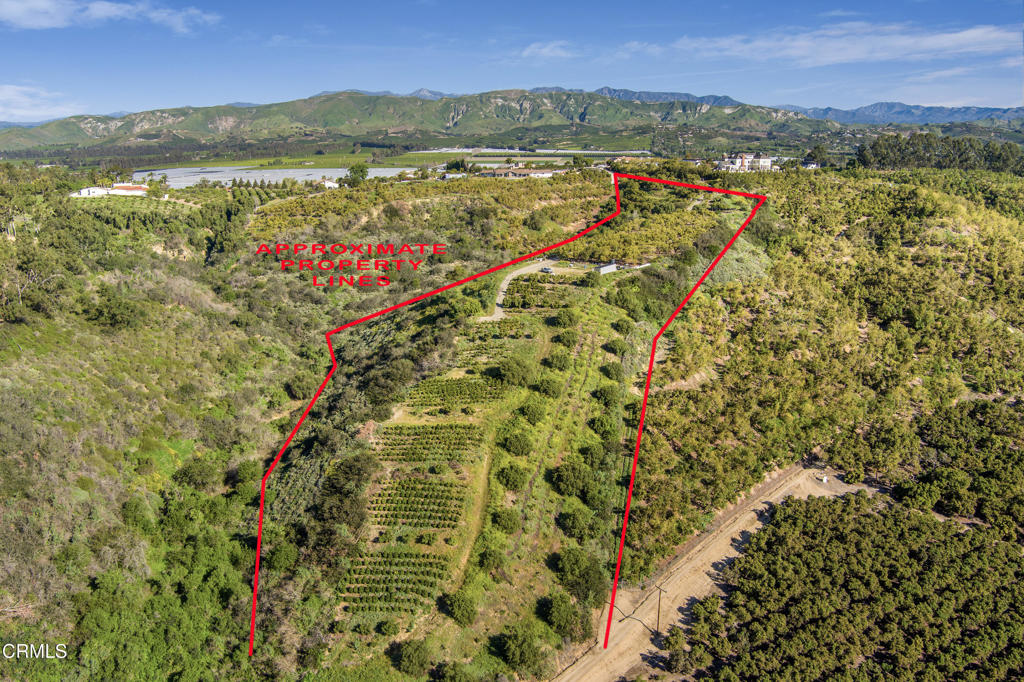 MLS #V1-35211 image #13