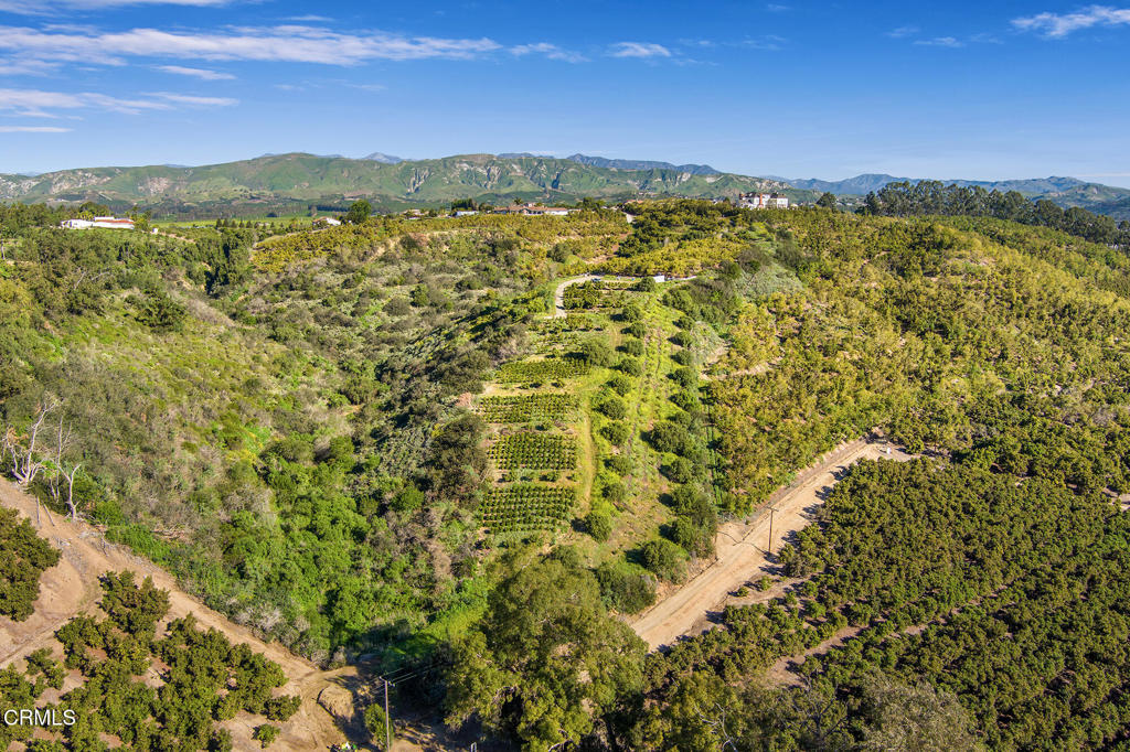 MLS #V1-35211 image #14