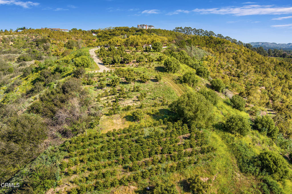 MLS #V1-35211 image #15