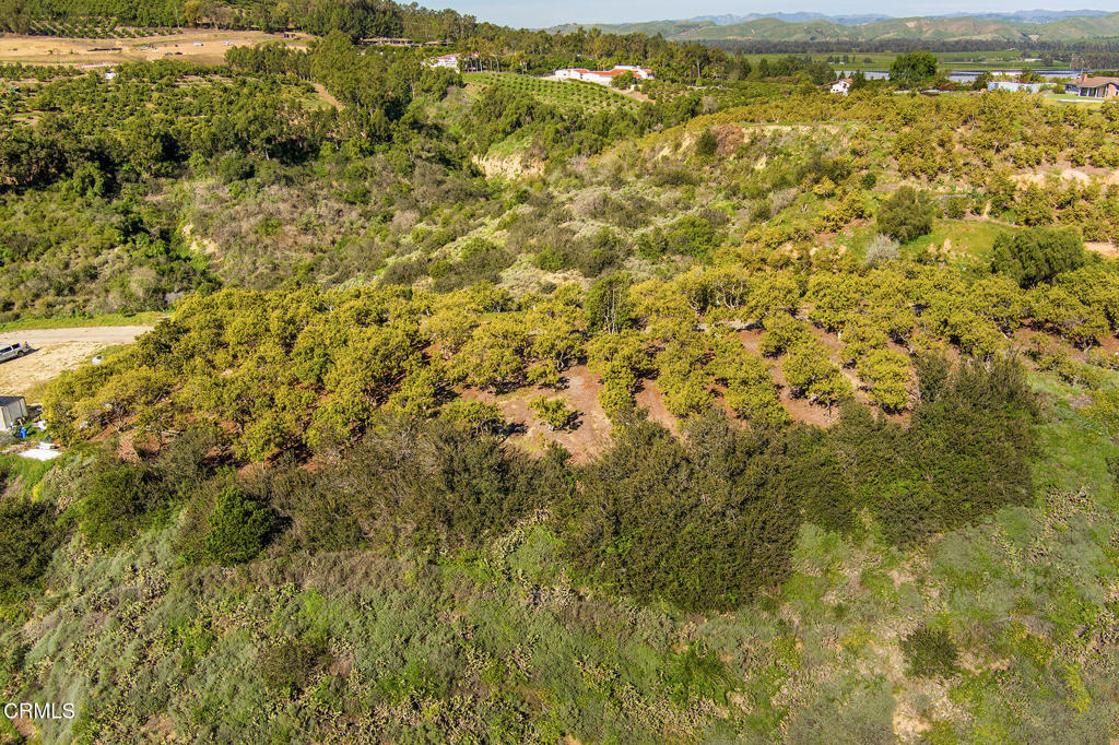 MLS #V1-35211 image #16