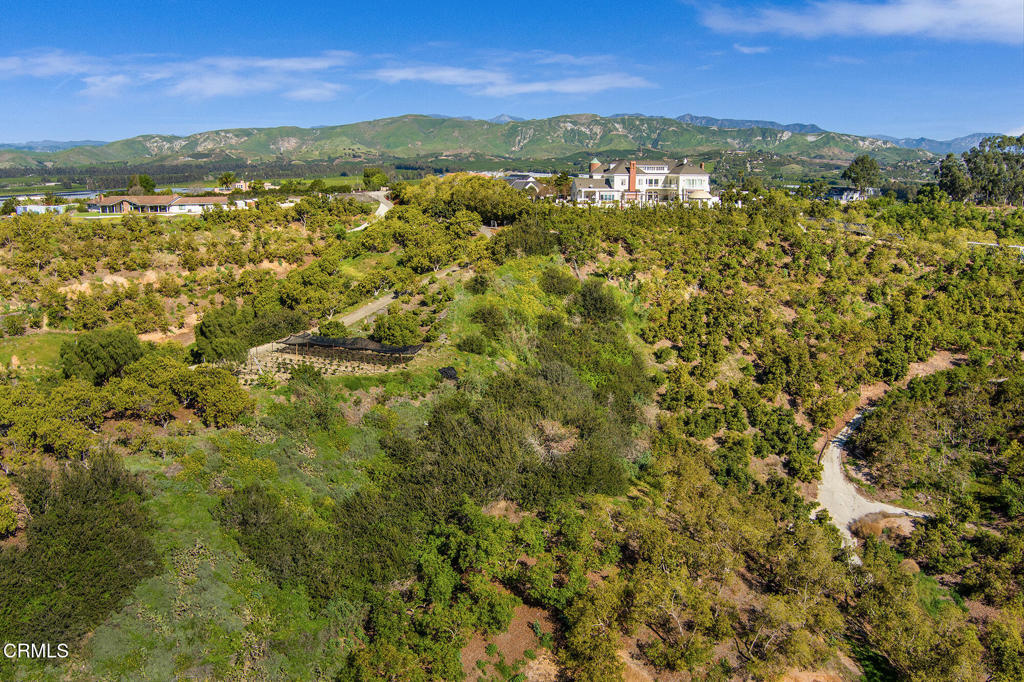 MLS #V1-35211 image #17