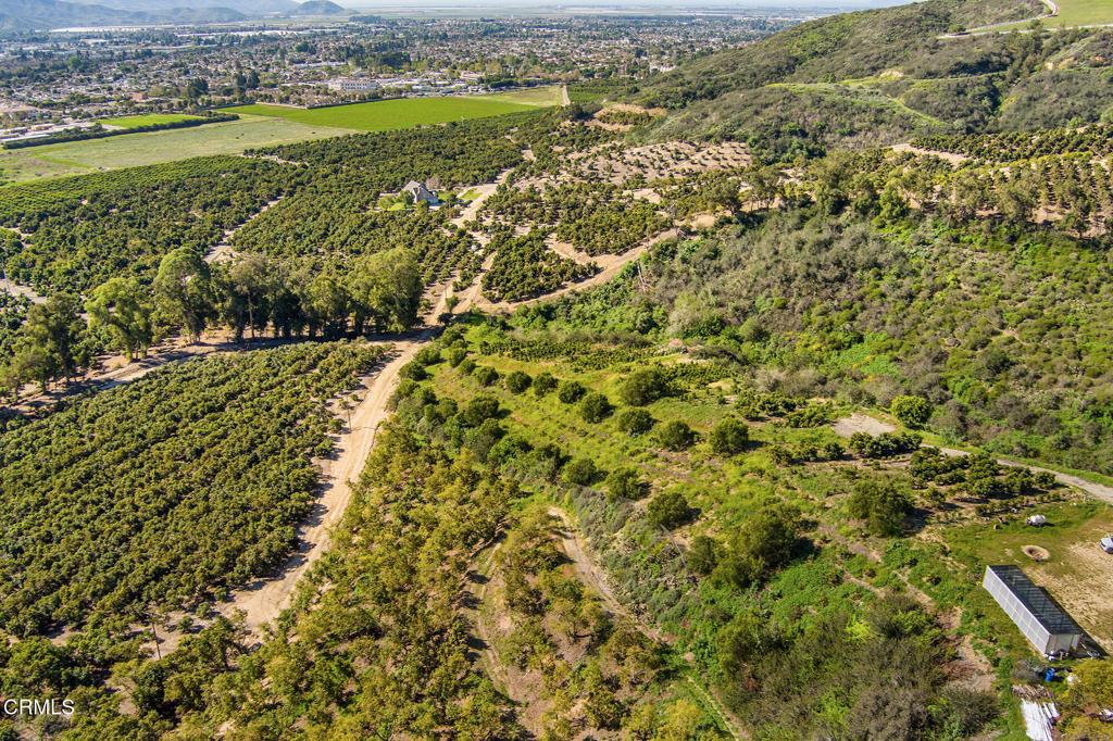 MLS #V1-35211 image #18