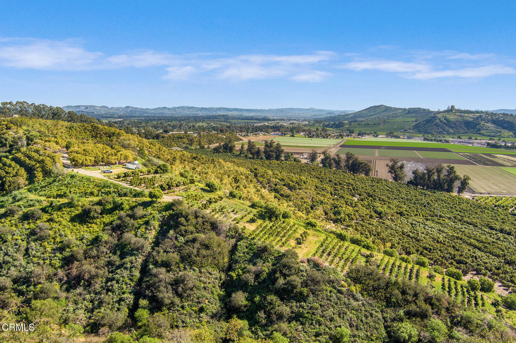 MLS #V1-35211 image #19